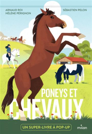 Superbe livre Les Chevaux 🐎 1 2 3 Topdoc éditions fleurus, livre