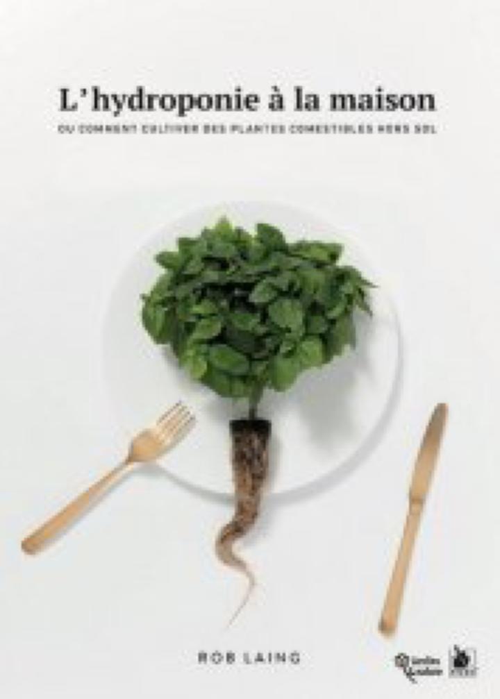 L'hydroponie : cultiver des plantes sans sol